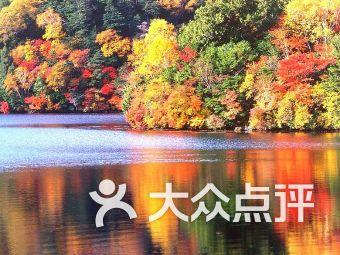 废品机械师